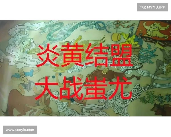 八种有效合作方式促进部落与联盟关系的深度融合与共同发展