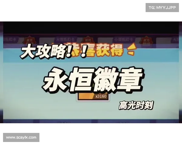 如何在英雄联盟中展示个性化专属徽章并彰显玩家身份