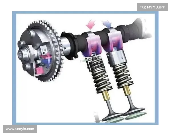 俱乐部性质的五大特点解析及其在现代社会中的重要作用 俱乐部性质的五大特点解析及其在现代社会中的重要作用