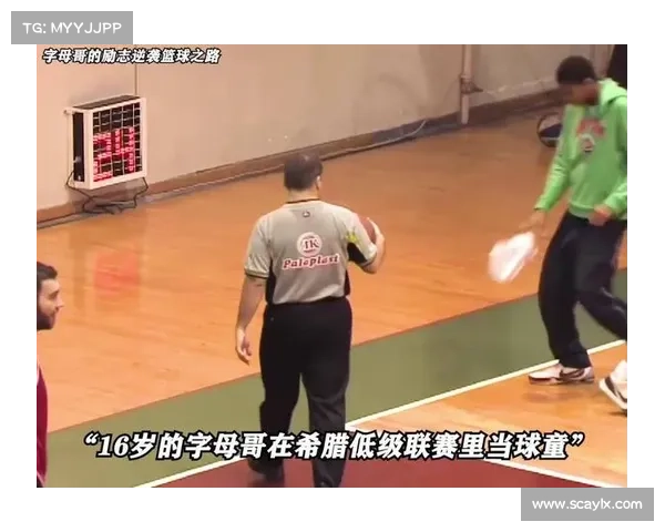 字母哥国籍背景与篮球生涯发展关系分析探讨